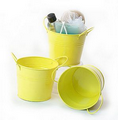 5" Bright Yellow Painted Side Handle Pail